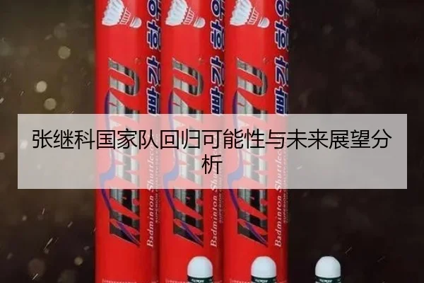 张继科国家队回归可能性与未来展望分析