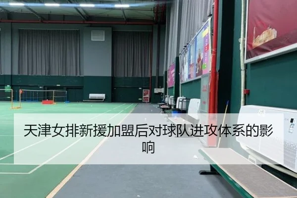 天津女排新援加盟后对球队进攻体系的影响